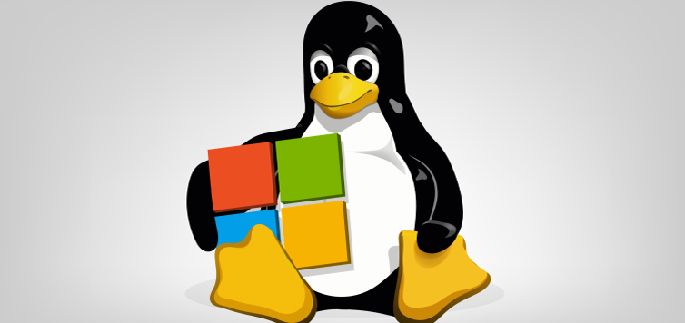 Microsoft Joins the Linux