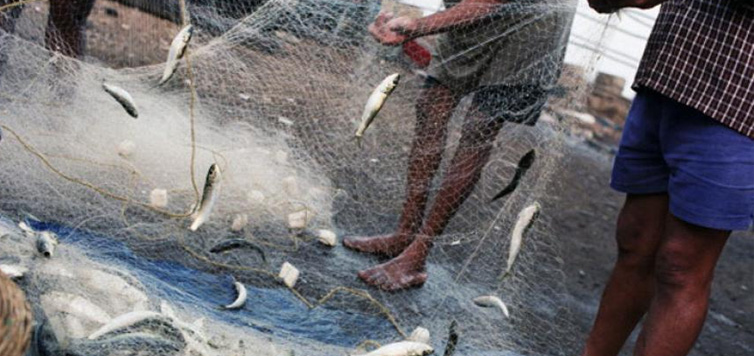 पाकिस्तान-ने-220-भारतीय-मछुआरों-को-किया-रिहा