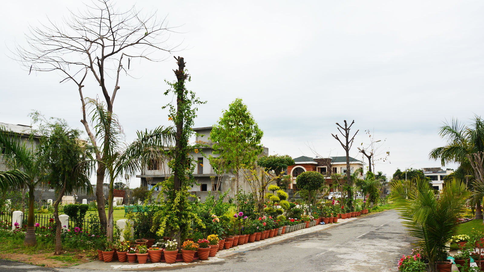 House in Victoria Estate 1