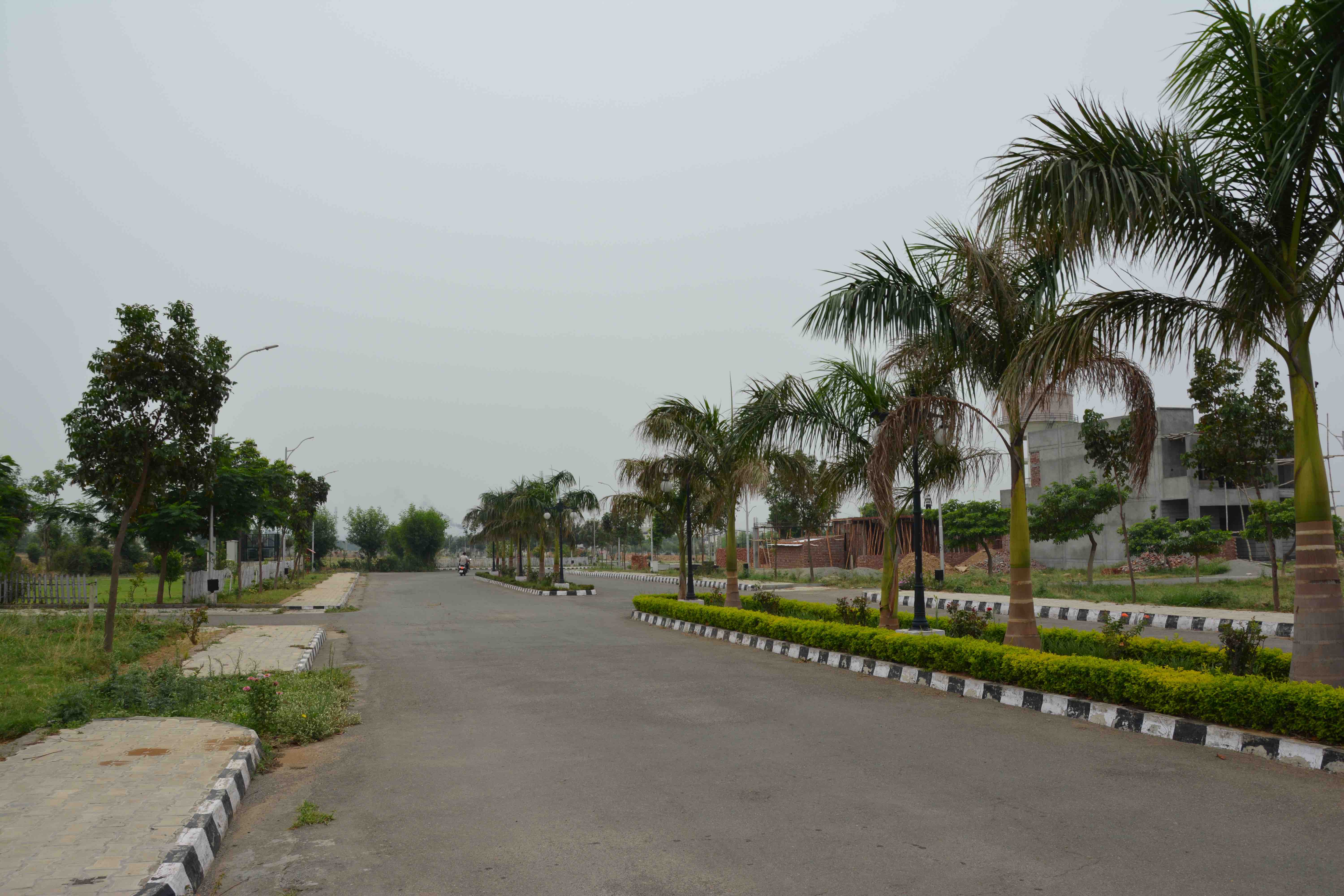 Houses in Victoria Estate New